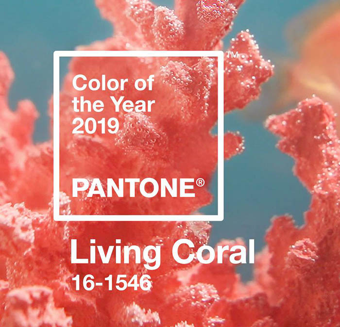 Kolor roku 2019 według Pantone